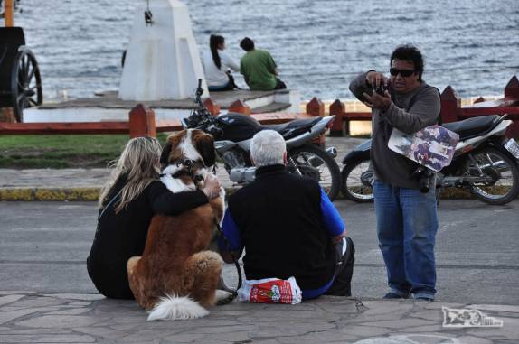 Turistas posam para foto com cachorro São Bernardo na praça central de Bariloche, na Argentina